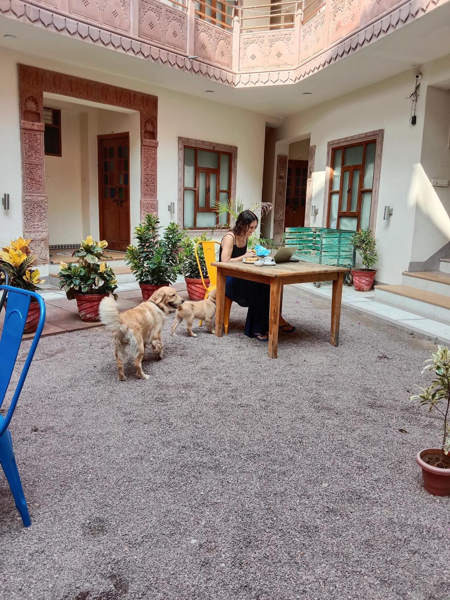 Rigmor haveli Hotel Jodhpur  Eksteriør billede